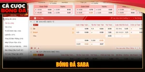 Bóng đá saba